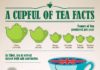 Food infographic – Brew The Perfect Cup Of Tea Infographic