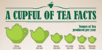 Food infographic – Brew The Perfect Cup Of Tea Infographic