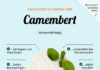 Food infographic – Camembert