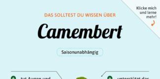 Food infographic – Camembert