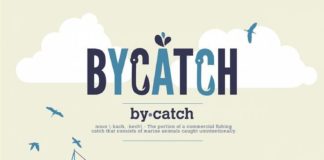 Food infographic – Catch and Deceased?