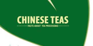 Food infographic – Chinese Tea Varieties Explained