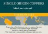Food infographic – Coffee Bean