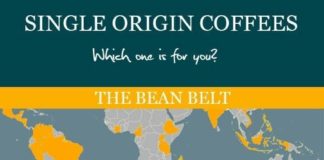 Food infographic – Coffee Bean