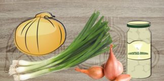 Food infographic – Cooking with onions: How they taste, how to use them and what dishes they’re best for