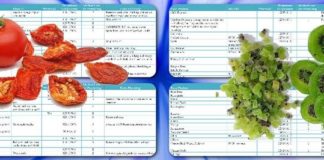 Food infographic – Dehydrator Infographic Charts eBook (Charts ONLY)