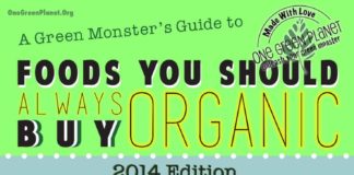 Food infographic – Dirty Dozen: 12 Fruits and Vegetables You Should Always Buy Organic in 2014 (INFOGRAPHIC)