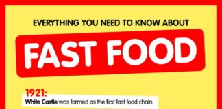 Food infographic – Everything You Need to Know About Fast Food Infographic