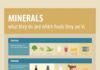 Food infographic – Everything You Need to Know About Minerals – We know that taking the right carbs…