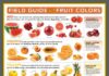 Food infographic – Field guide to Fruit Colors } The FruitGuys