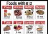 Food infographic – Food infographic – B12: is a coenzyme used in nucleic acid metabolism. Adult daily needs is 2.4 mcg