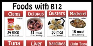 Food infographic – Food infographic – B12: is a coenzyme used in nucleic acid metabolism. Adult daily needs is 2.4 mcg