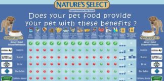 Food infographic – Food infographic – DOES YOUR PET FOOD PROVIDE YOUR PET WITH THESE BENEFITS ?
