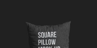 Food infographic – Free Square Pillow Mockup