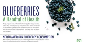 Food infographic – Gluten-Free Blueberry Oat Pancakes with Lemon Maple Syrup