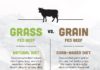 Food infographic – Grass Fed vs Grain Fed vs Grass-Finished Beef (and why it matters)