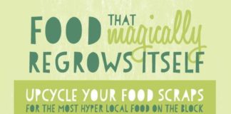 Food infographic – Green Mission