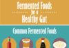 Food infographic – Health Benefits of Fermented Foods