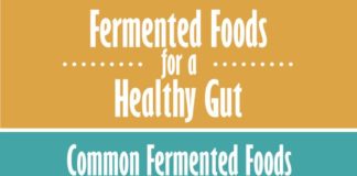 Food infographic – Health Benefits of Fermented Foods