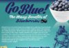 Food infographic – Health Blog — Benefits Of Blueberries Infographic ➡…