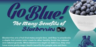 Food infographic – Health Blog — Benefits Of Blueberries Infographic ➡…