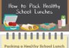 Food infographic – Healthy School Lunch Ideas