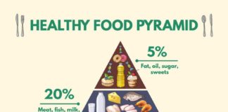 Food infographic – Healthy food pyramid infographic pictures with Vector Image