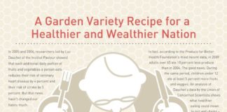 Food infographic – Heathly Eating Infographic