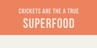 Food infographic – Here’s how our Children’s Food Choices can Help Save the Planet