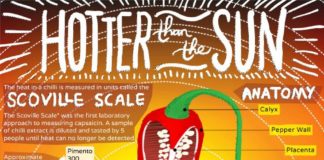 Food infographic – Hotter Than The Sun Chilli Infographic