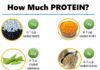 Food infographic – How Much Protein in Foods Infographic