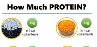 Food infographic – How Much Protein in Foods Infographic