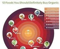 Food infographic – How to slim your calves I have hellacious calves and Im not loving it no matter…