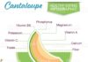 Food infographic – Infographic with nutritional facts for fruits on a white base….