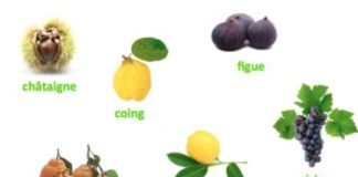 Food infographic – Les fruits et légumes de Novembre