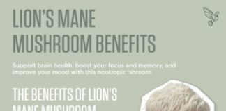 Food infographic – Lion’s Mane Mushroom Benefits: Boost Memory, Focus & Mood With This Nootropic