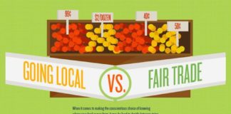 Food infographic – Local Vs. Fair Trade (Infographic)