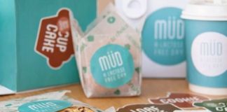 Food infographic – Müd (Student Work)