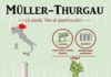 Food infographic – Müller-Thurgau – La Guida Vini di