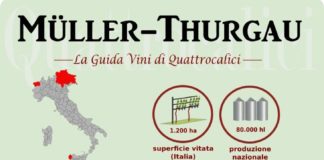 Food infographic – Müller-Thurgau – La Guida Vini di