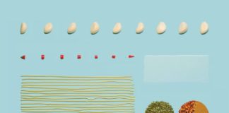 Food infographic – New Brand Identity for Marco Marco by Acre — BP&O