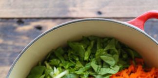 Food infographic – Nourriture pour chien faite maison