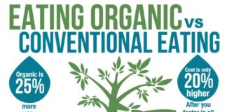Food infographic – Organic Food vs Non-Organic Food Infographic