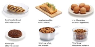 Food infographic – Protein Power: What You Need to Know