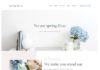 Food infographic – Spring & Co Squarespace Website Template