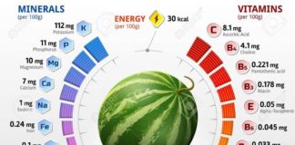 Food infographic – Stock Vector