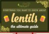 Food infographic – The A-Z About Cooking Lentils – Infographic