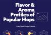 Food infographic – The Flavors & Aromas in Craft Beer’s Popular Hops (Infographic)