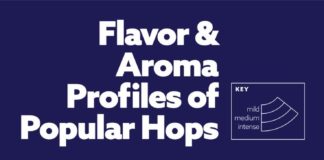 Food infographic – The Flavors & Aromas in Craft Beer’s Popular Hops (Infographic)