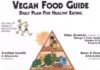 Food infographic – This infographic entitled “Vegan Food Guide : A Daily Plan for Healthy Eating” d…